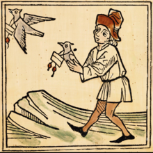 Image de pigeon voyageur